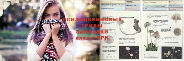 спайс Верея