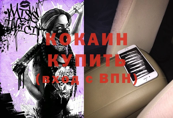 СК Волосово